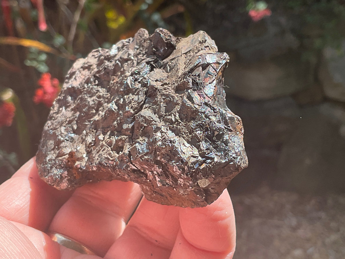 287g Reticulated Hematite Specimen 1C