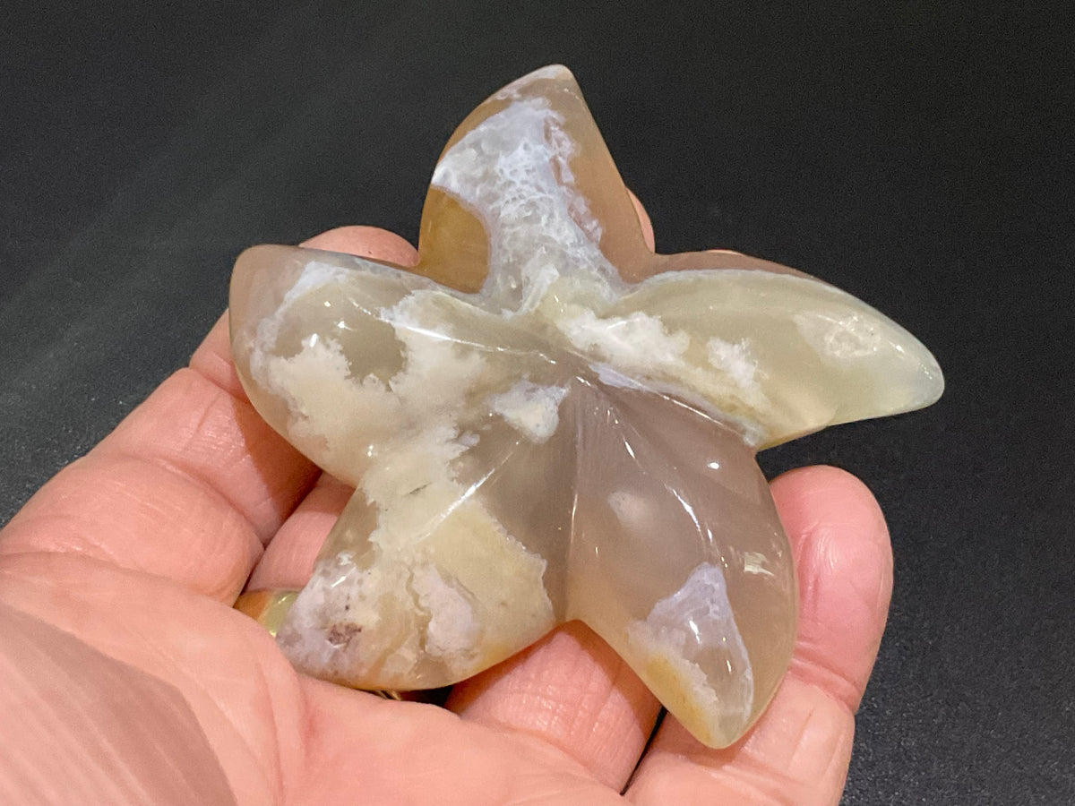 86g Flower Agate Starfish Palmstone 3B