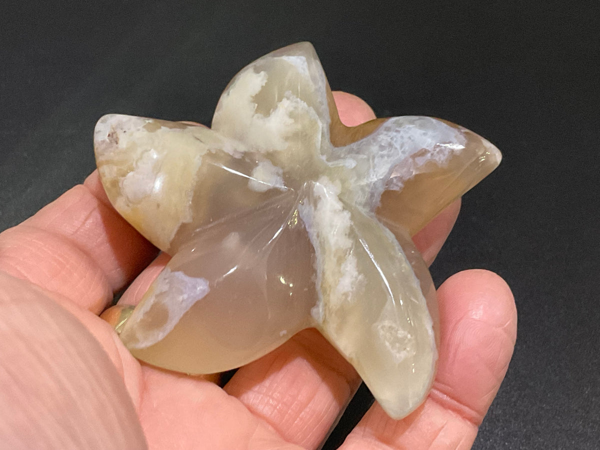 86g Flower Agate Starfish Palmstone 3B