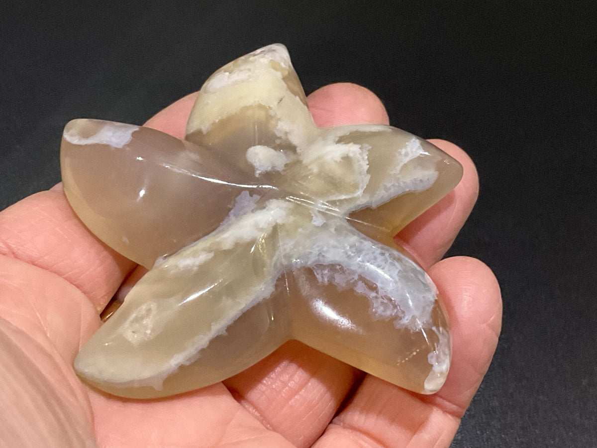 86g Flower Agate Starfish Palmstone 3B