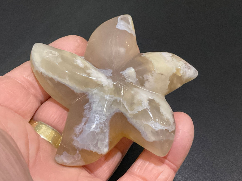 86g Flower Agate Starfish Palmstone 3B