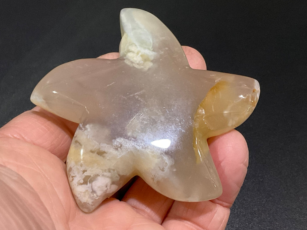 86g Flower Agate Starfish Palmstone 3B