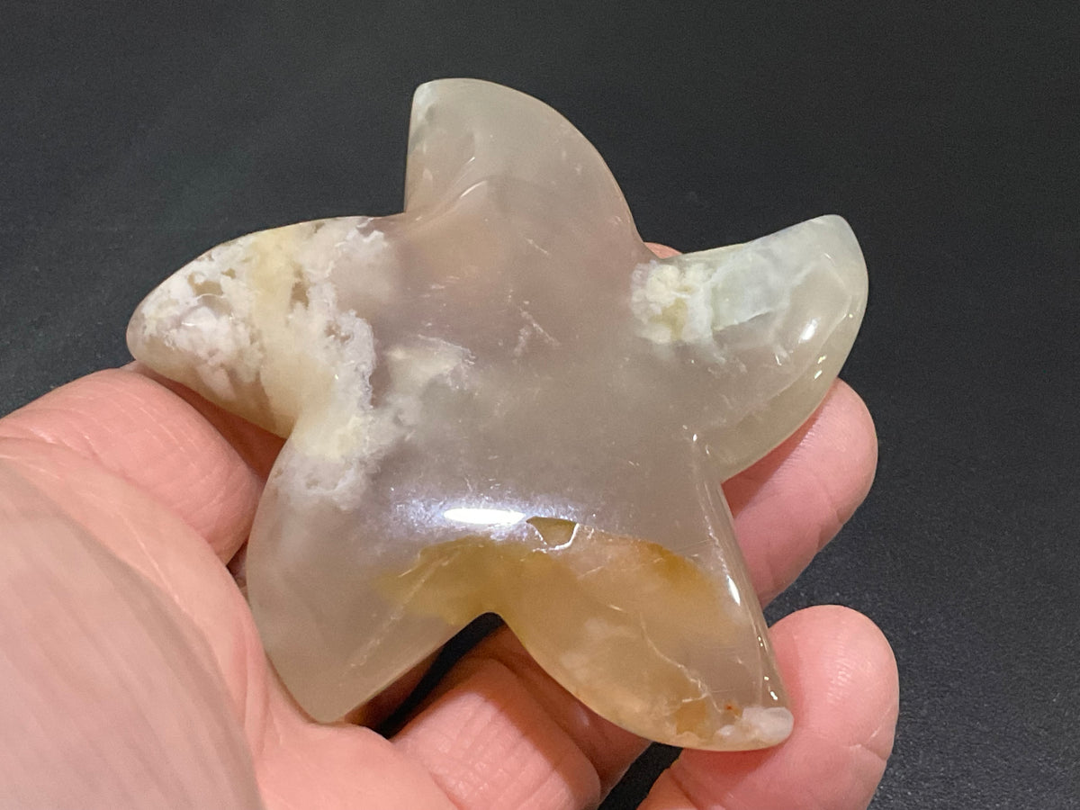 86g Flower Agate Starfish Palmstone 3B