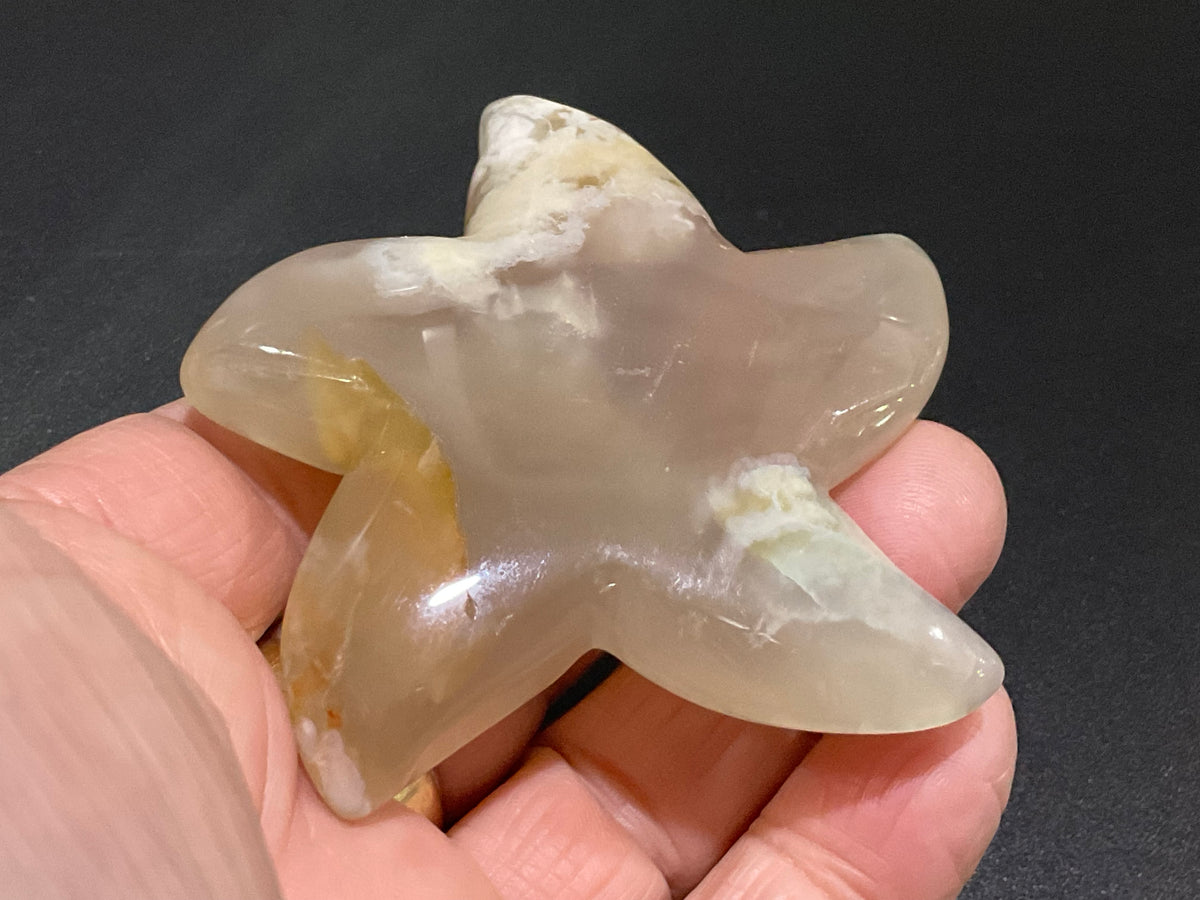 86g Flower Agate Starfish Palmstone 3B