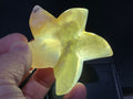 86g Flower Agate Starfish Palmstone 3B