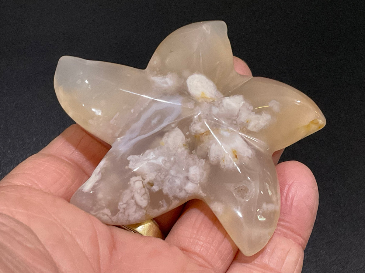 84g Flower Agate Starfish Palmstone 3C