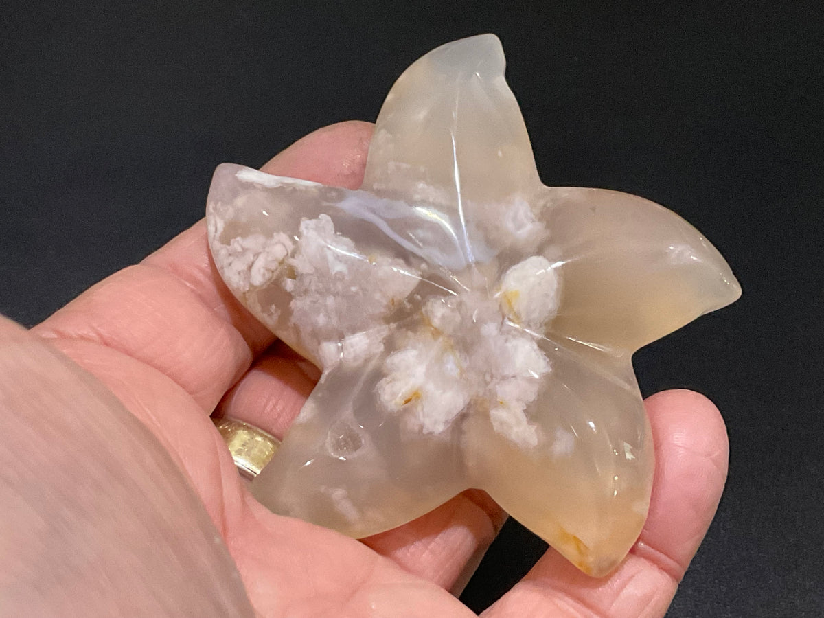 84g Flower Agate Starfish Palmstone 3C