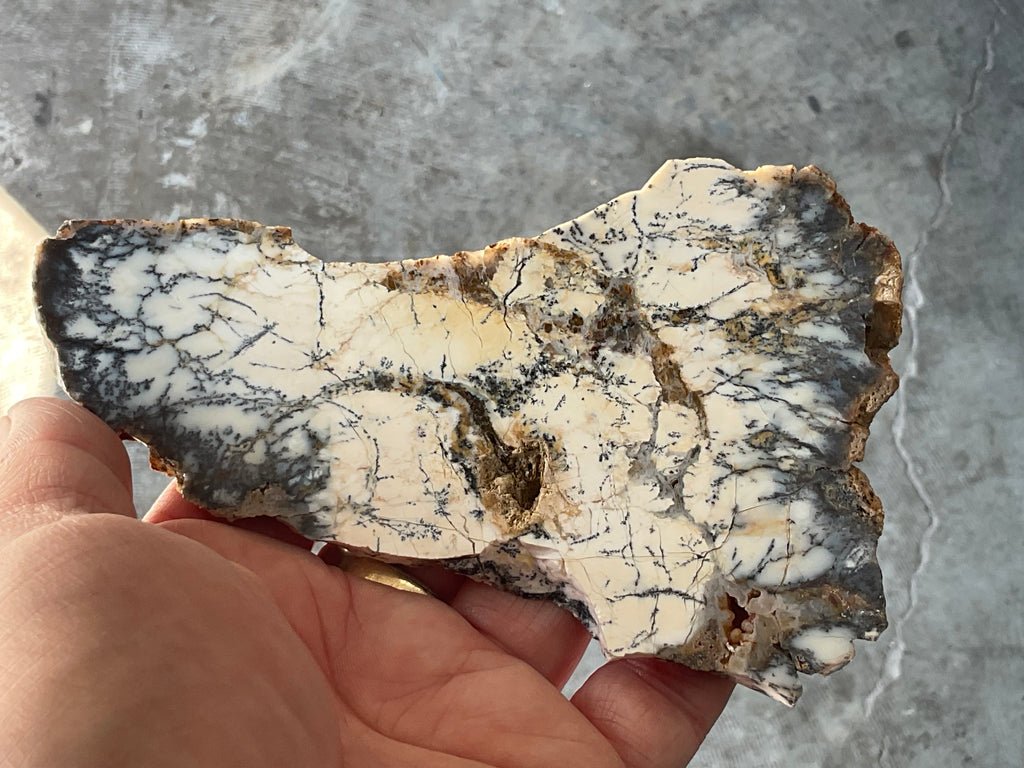 94g Australian Dendritic Common Opal Polished Piece C