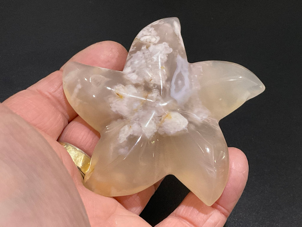 84g Flower Agate Starfish Palmstone 3C