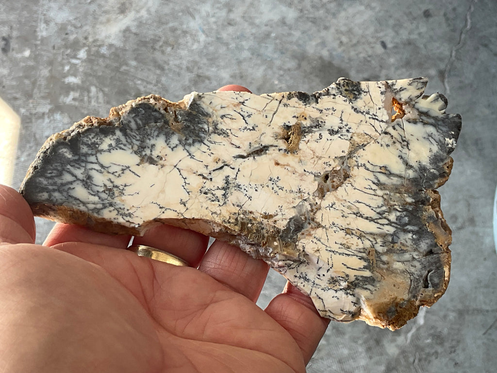 94g Australian Dendritic Common Opal Polished Piece C