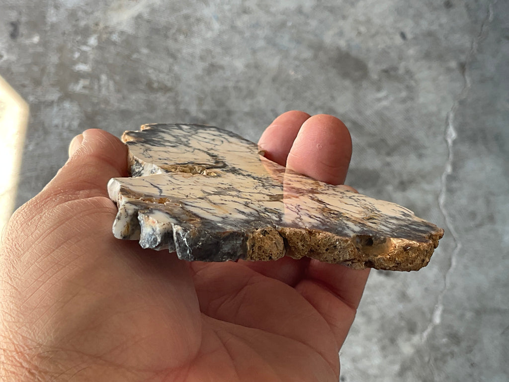 94g Australian Dendritic Common Opal Polished Piece C