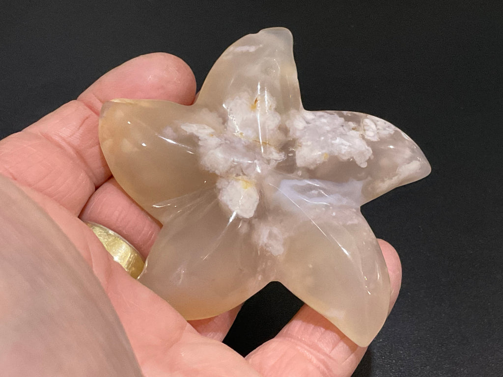 84g Flower Agate Starfish Palmstone 3C