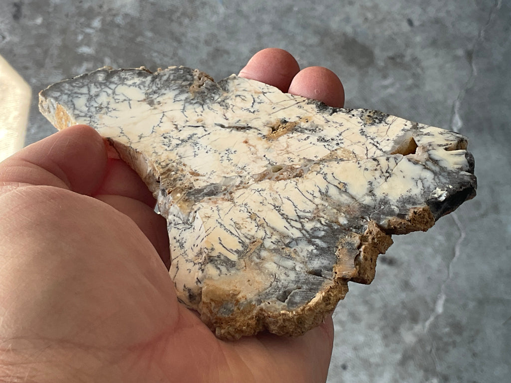94g Australian Dendritic Common Opal Polished Piece C