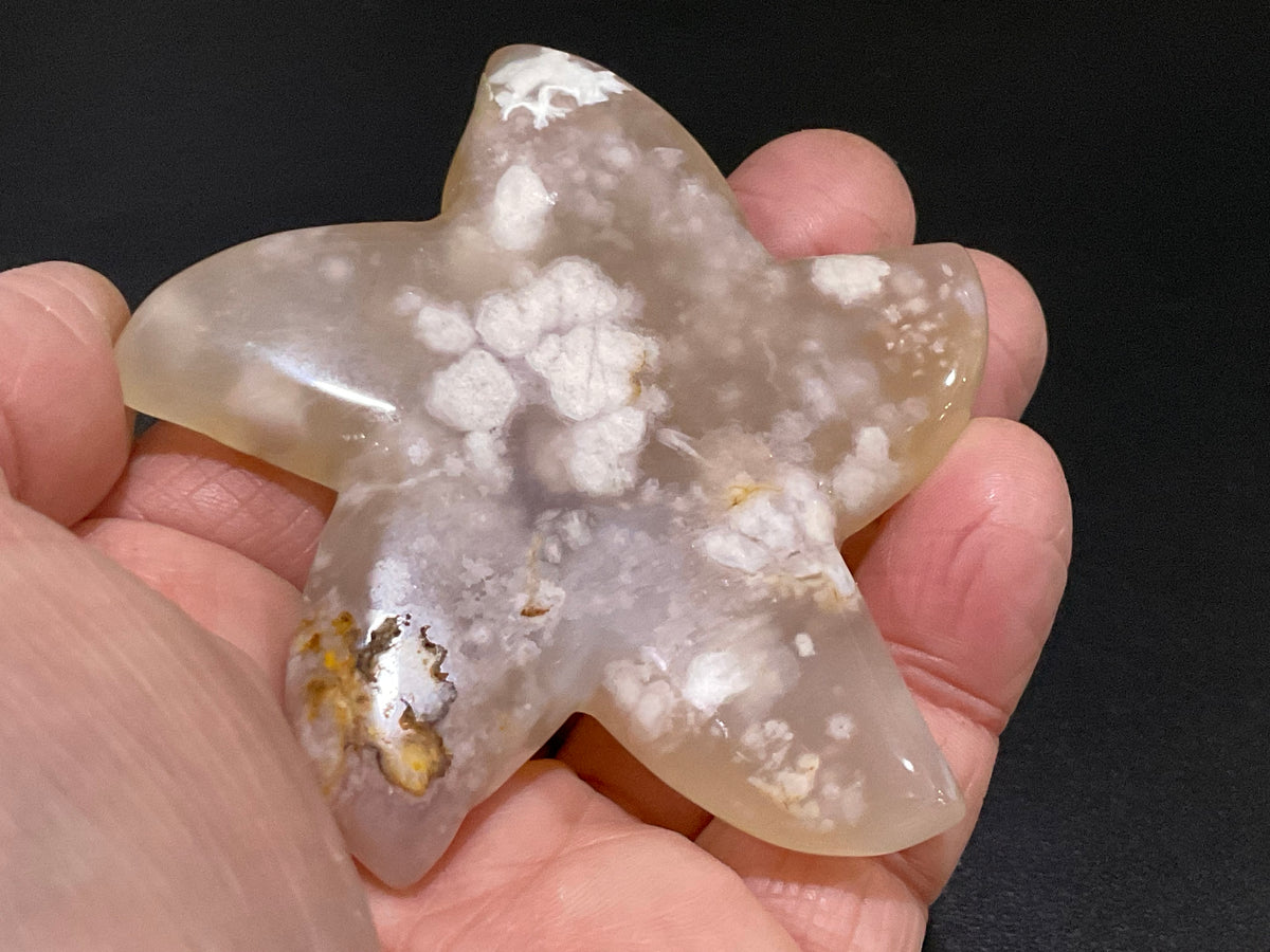 84g Flower Agate Starfish Palmstone 3C