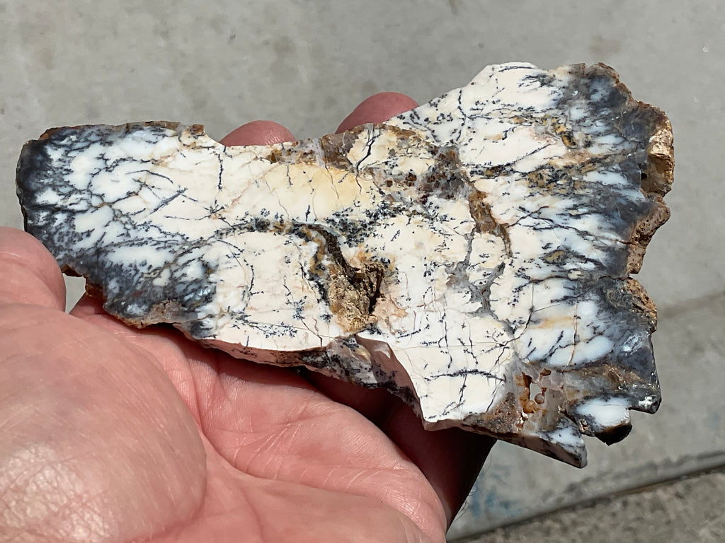 94g Australian Dendritic Common Opal Polished Piece C