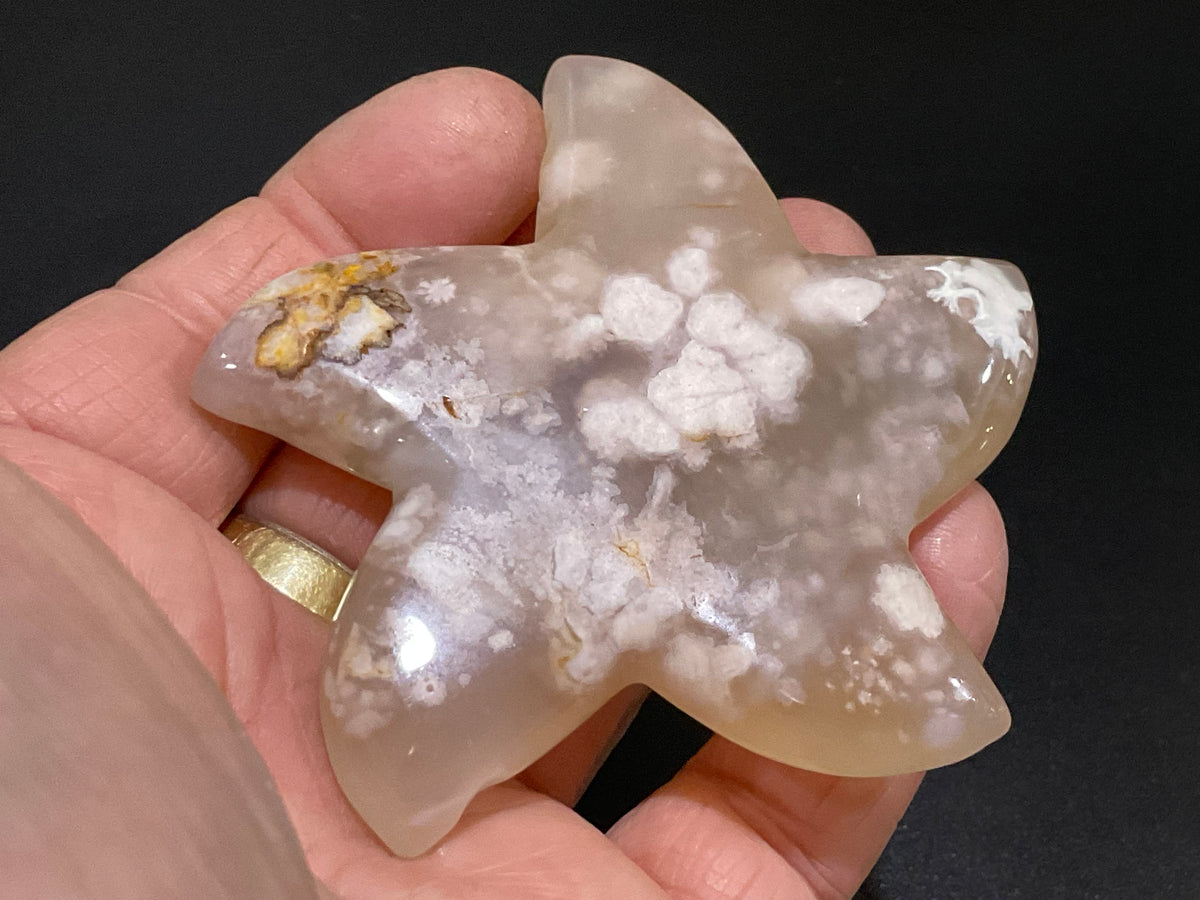 84g Flower Agate Starfish Palmstone 3C