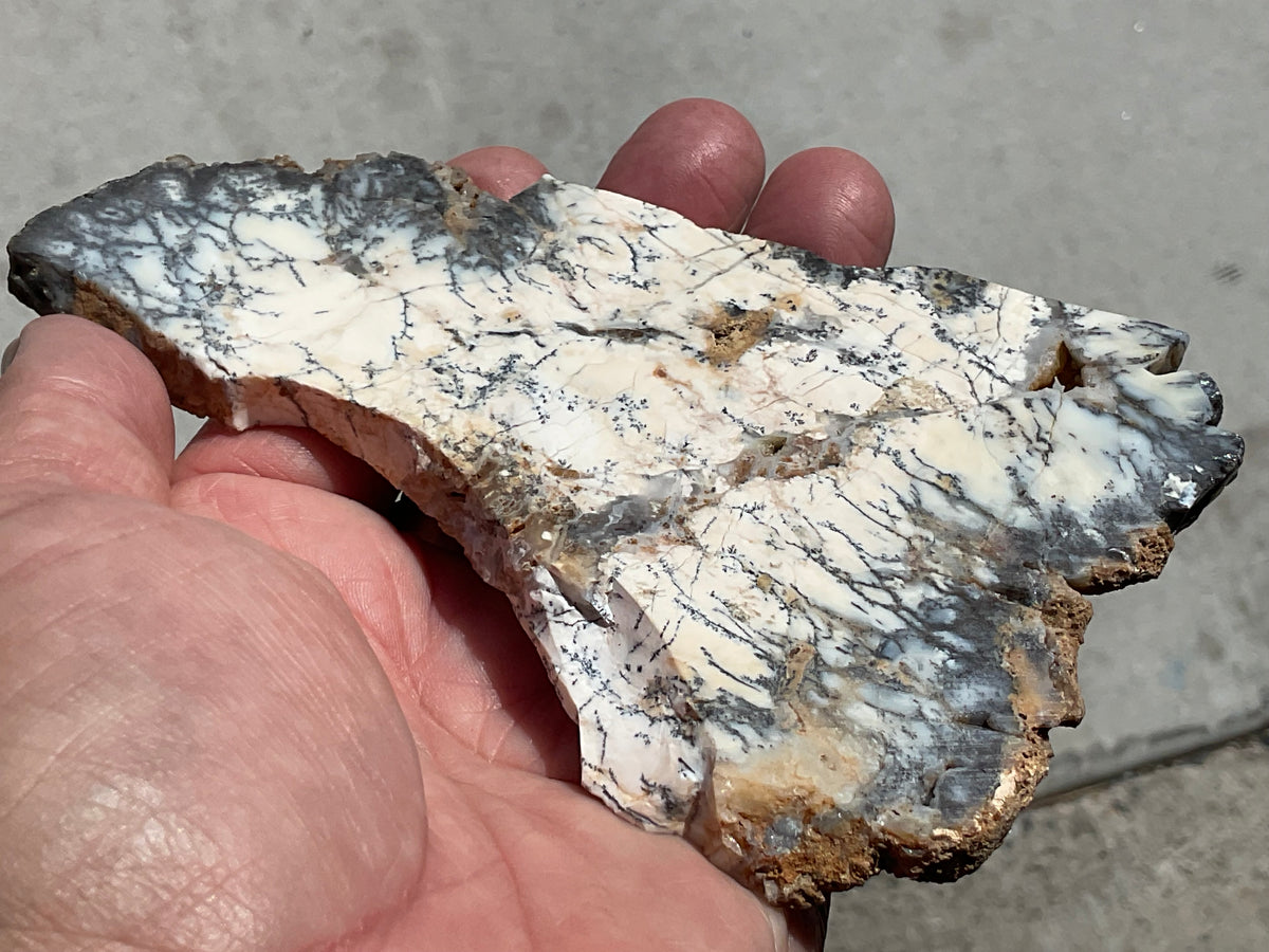 94g Australian Dendritic Common Opal Polished Piece C
