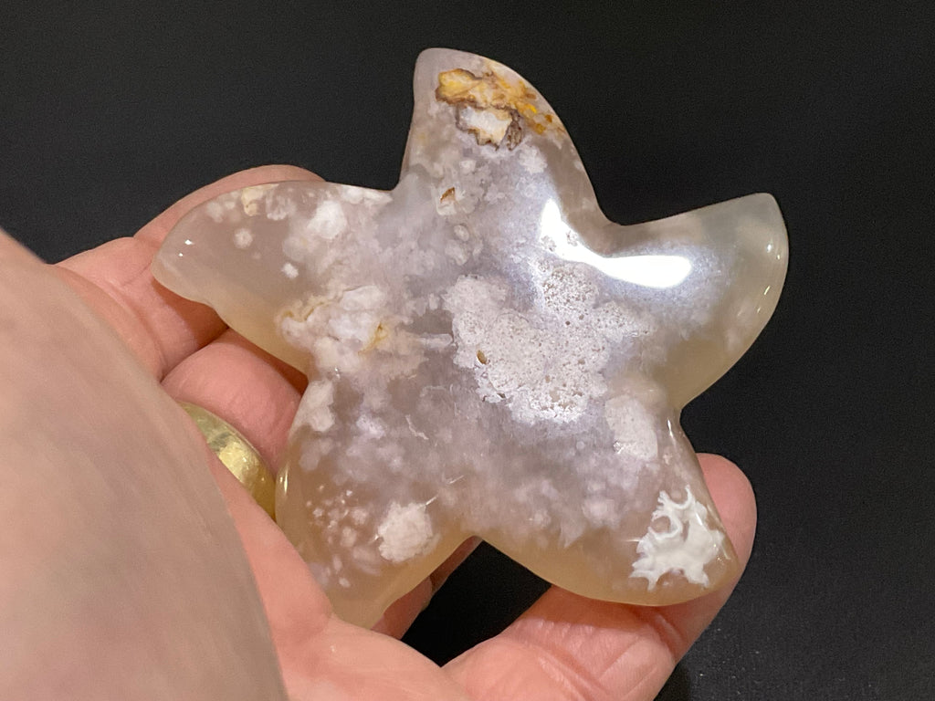 84g Flower Agate Starfish Palmstone 3C