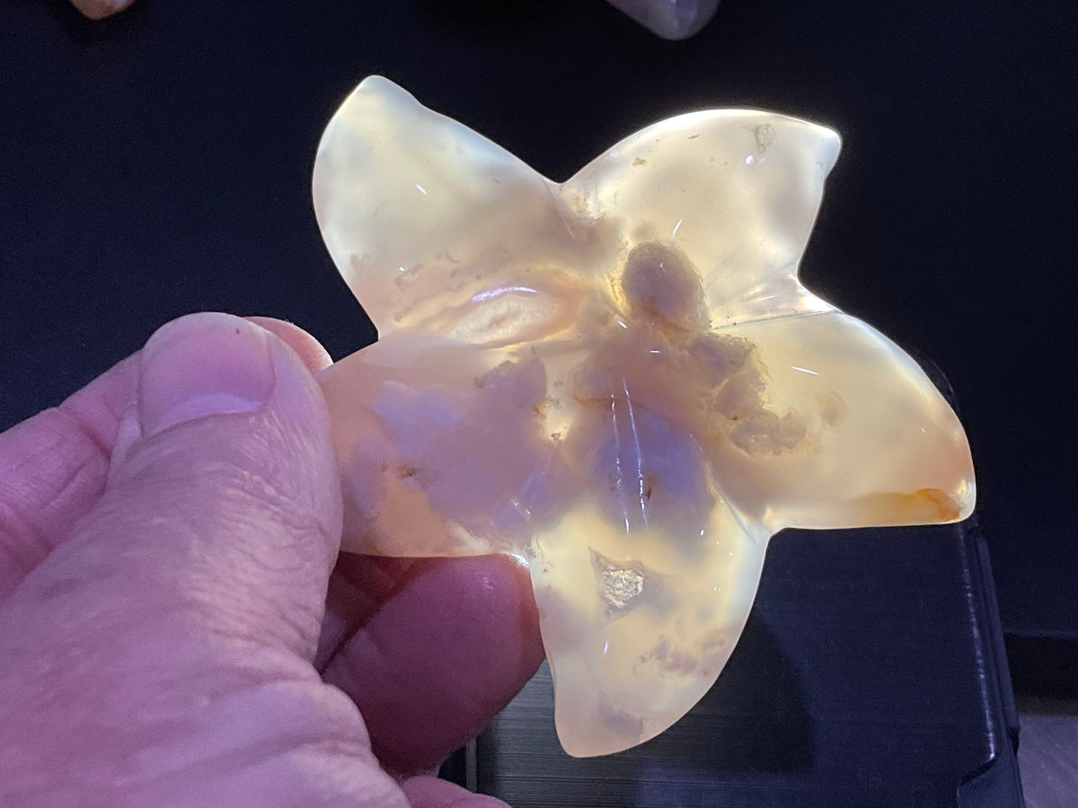 84g Flower Agate Starfish Palmstone 3C