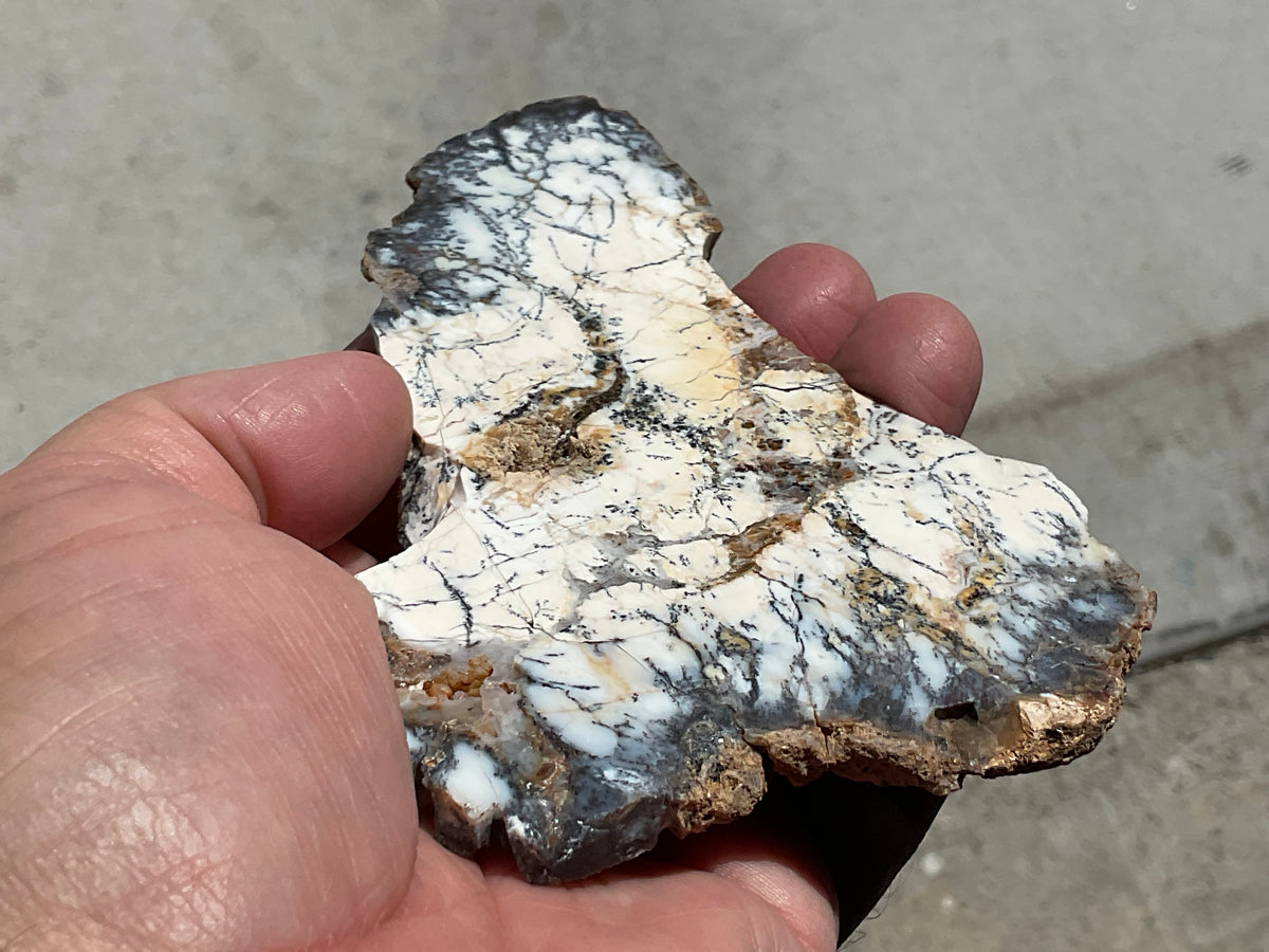 94g Australian Dendritic Common Opal Polished Piece C