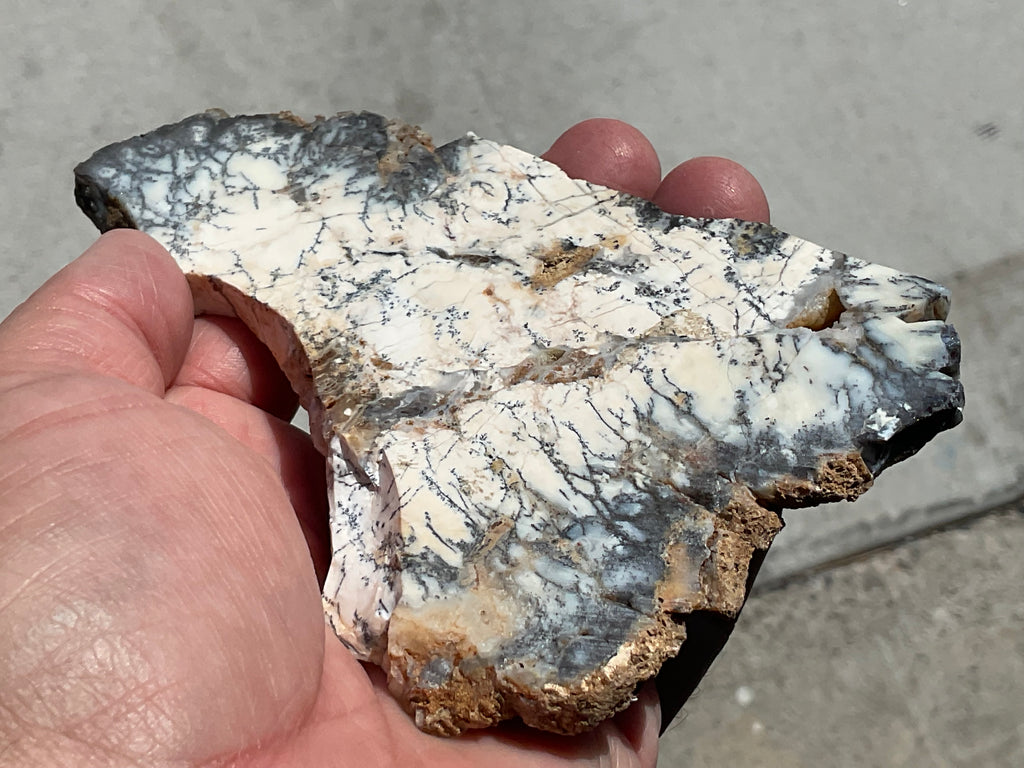 94g Australian Dendritic Common Opal Polished Piece C