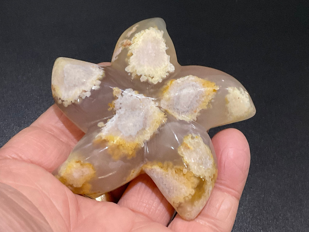 108g Flower Agate Starfish Palmstone 4A