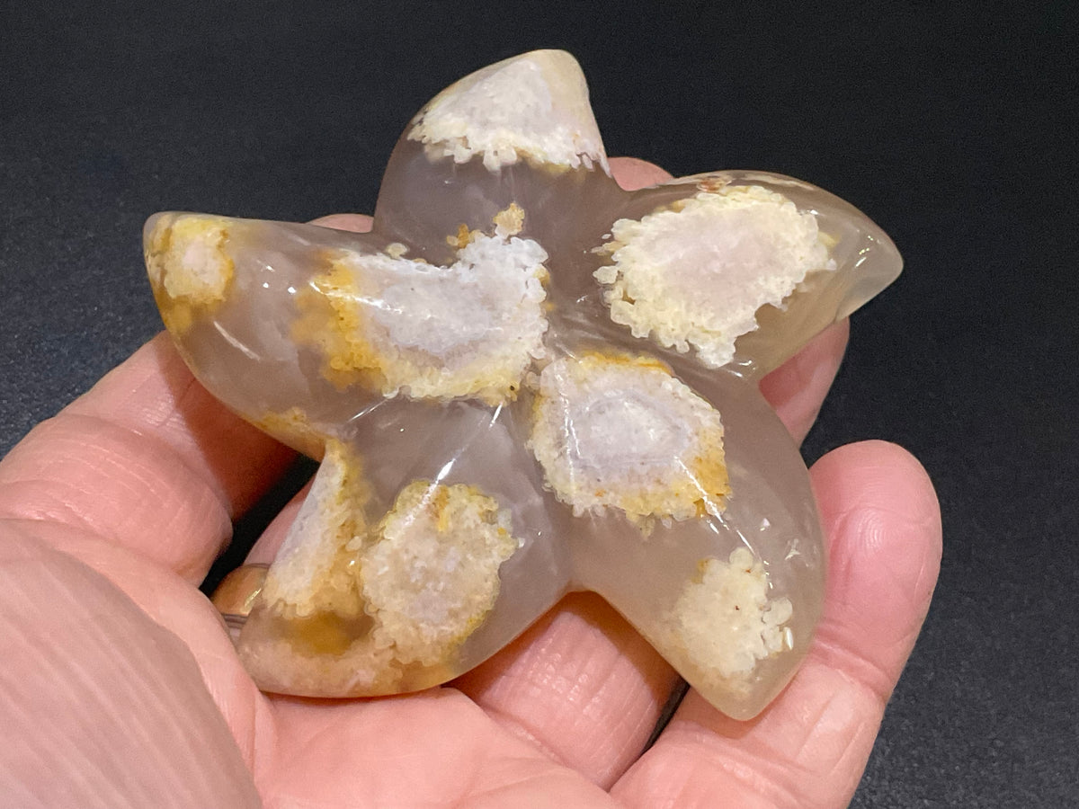 108g Flower Agate Starfish Palmstone 4A