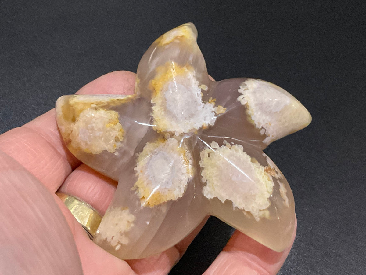 108g Flower Agate Starfish Palmstone 4A