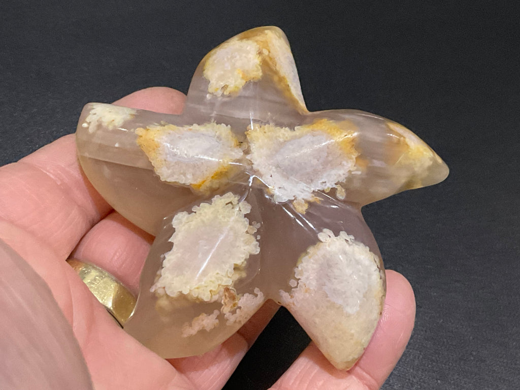 108g Flower Agate Starfish Palmstone 4A