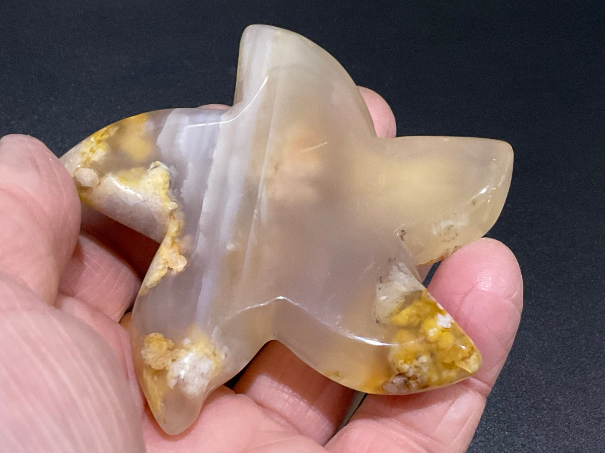 108g Flower Agate Starfish Palmstone 4A