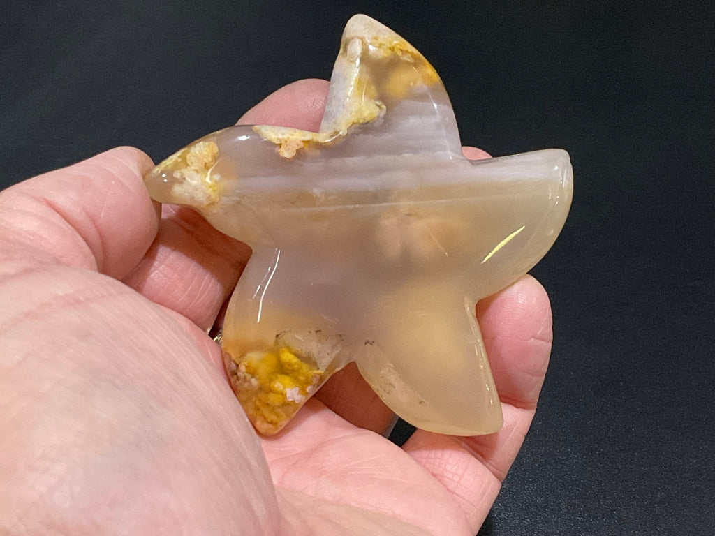 108g Flower Agate Starfish Palmstone 4A