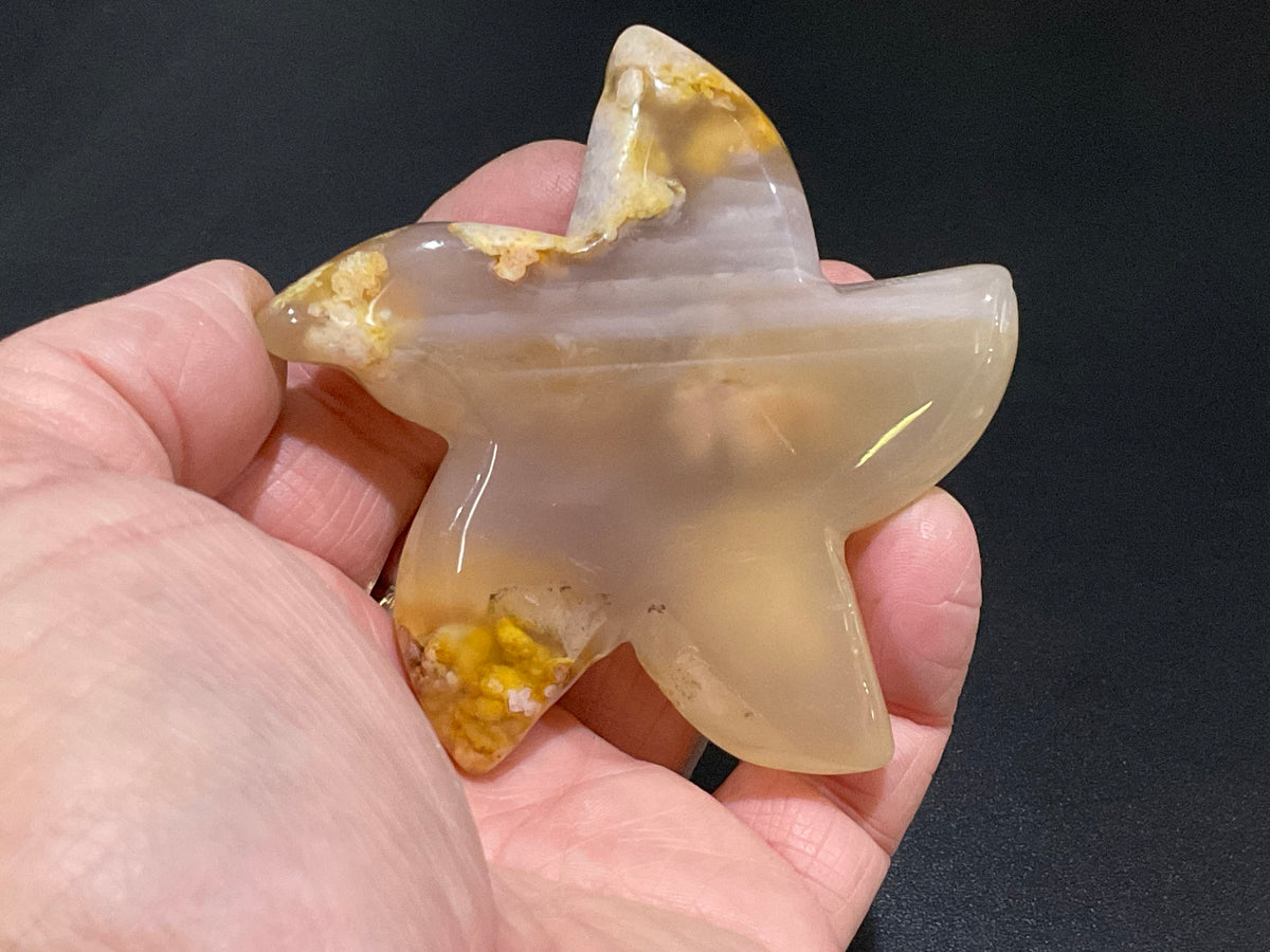 108g Flower Agate Starfish Palmstone 4A