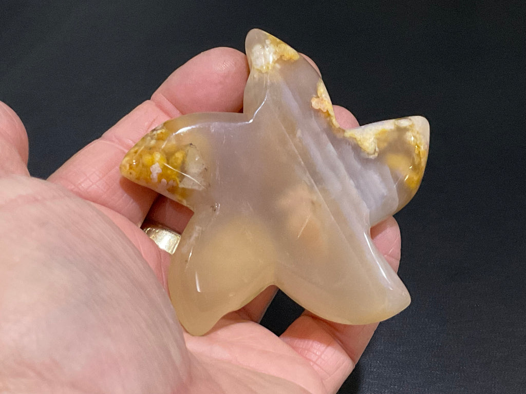 108g Flower Agate Starfish Palmstone 4A
