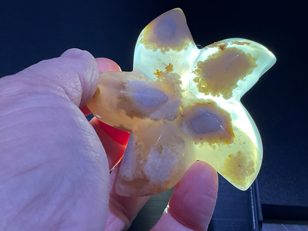 108g Flower Agate Starfish Palmstone 4A