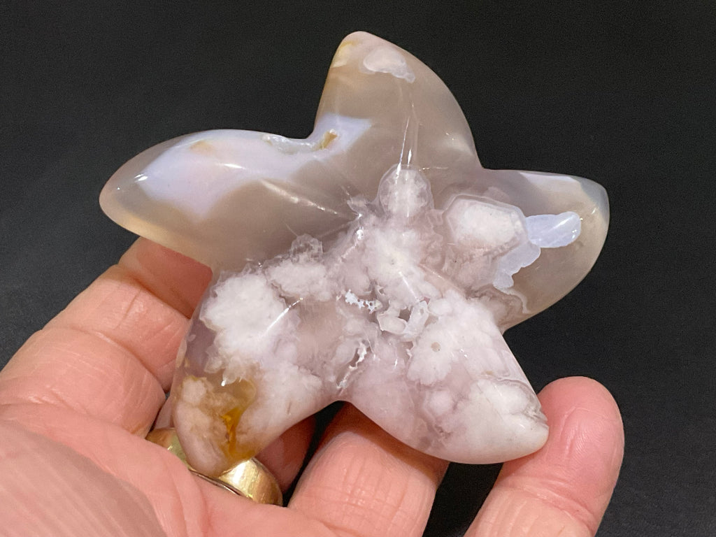 90g Flower Agate Starfish Palmstone 4B