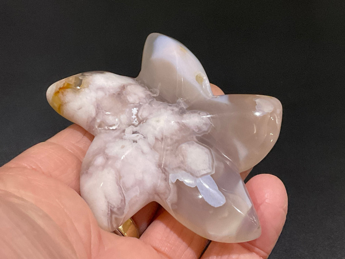 90g Flower Agate Starfish Palmstone 4B