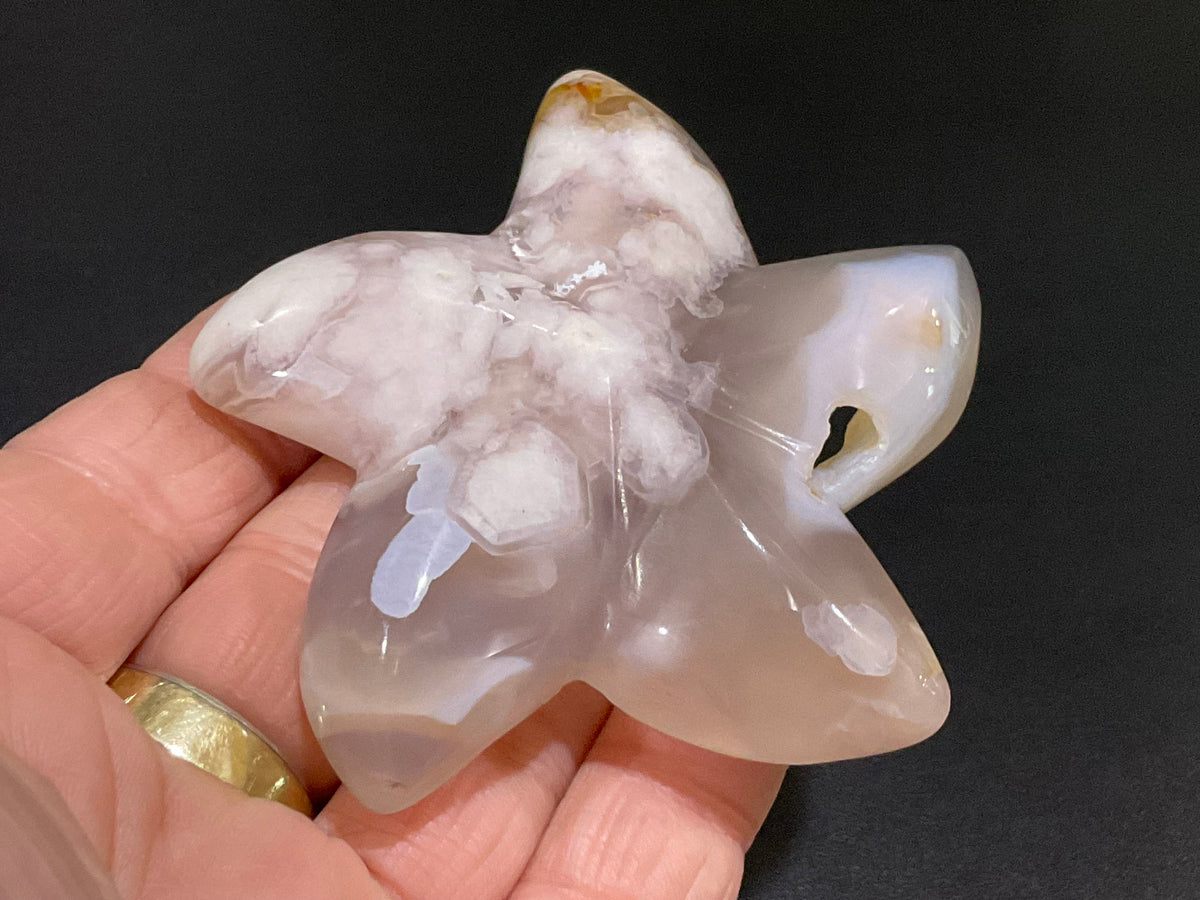 90g Flower Agate Starfish Palmstone 4B