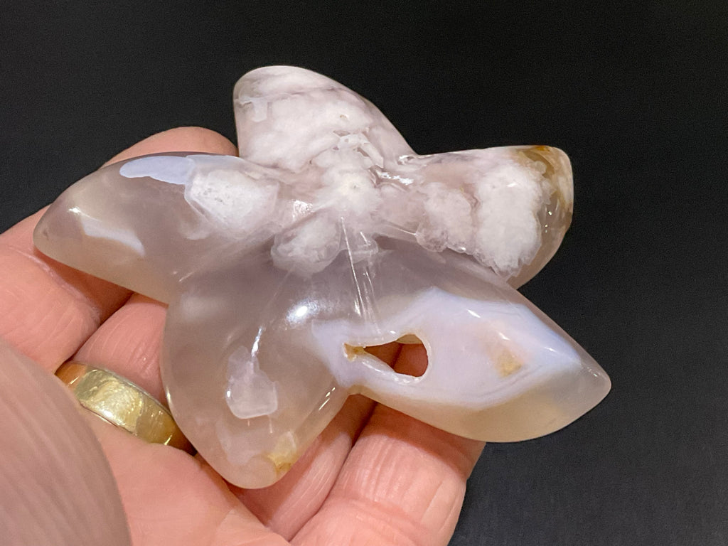 90g Flower Agate Starfish Palmstone 4B