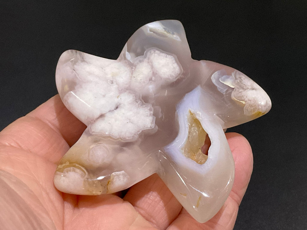 90g Flower Agate Starfish Palmstone 4B