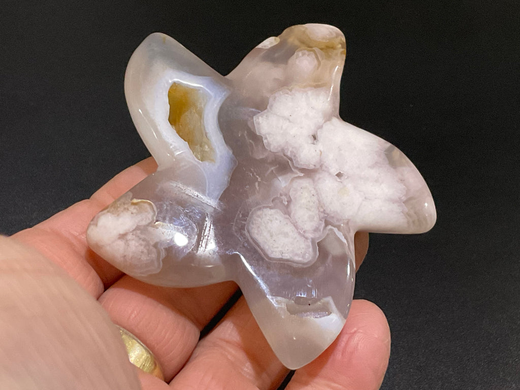 90g Flower Agate Starfish Palmstone 4B