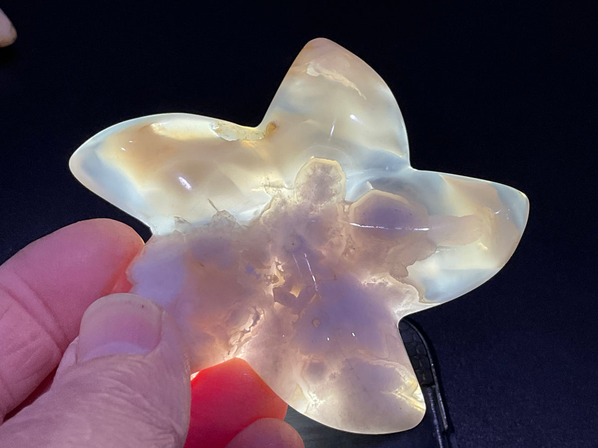 90g Flower Agate Starfish Palmstone 4B