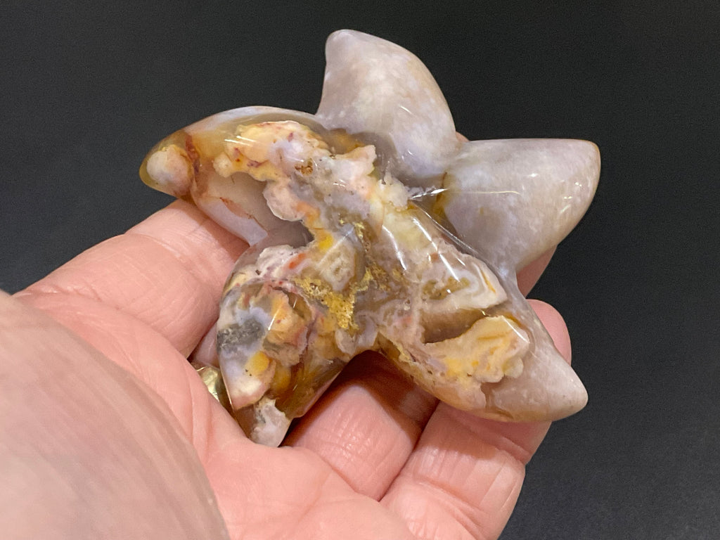 100g Flower Agate Starfish Palmstone 3C