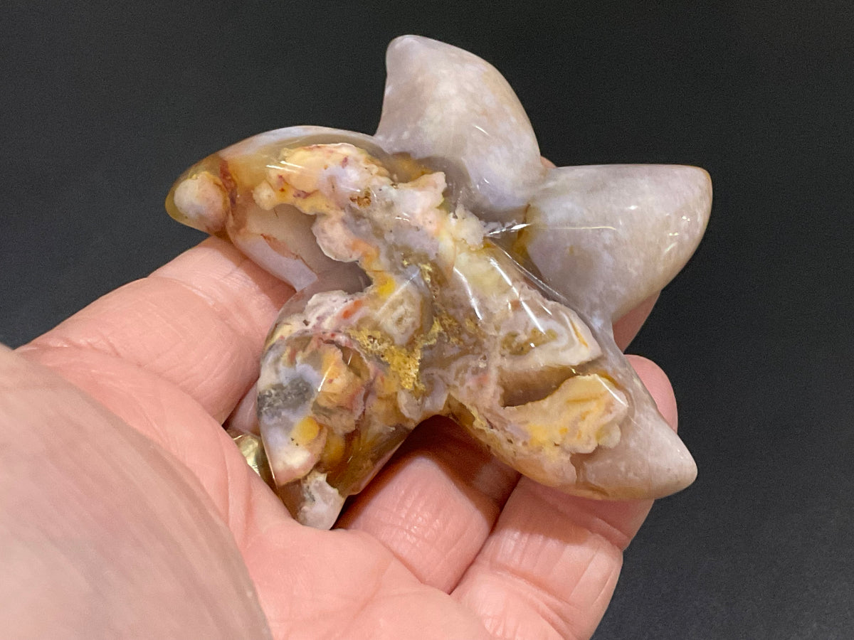 100g Flower Agate Starfish Palmstone 3C