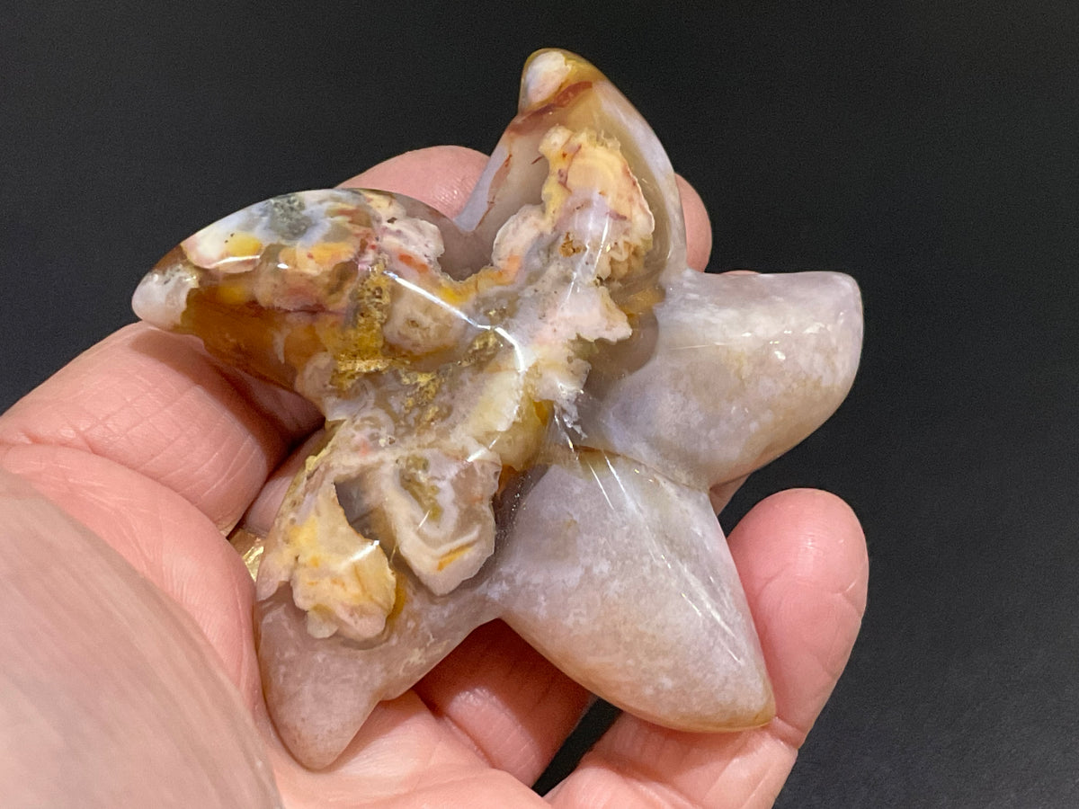 100g Flower Agate Starfish Palmstone 3C