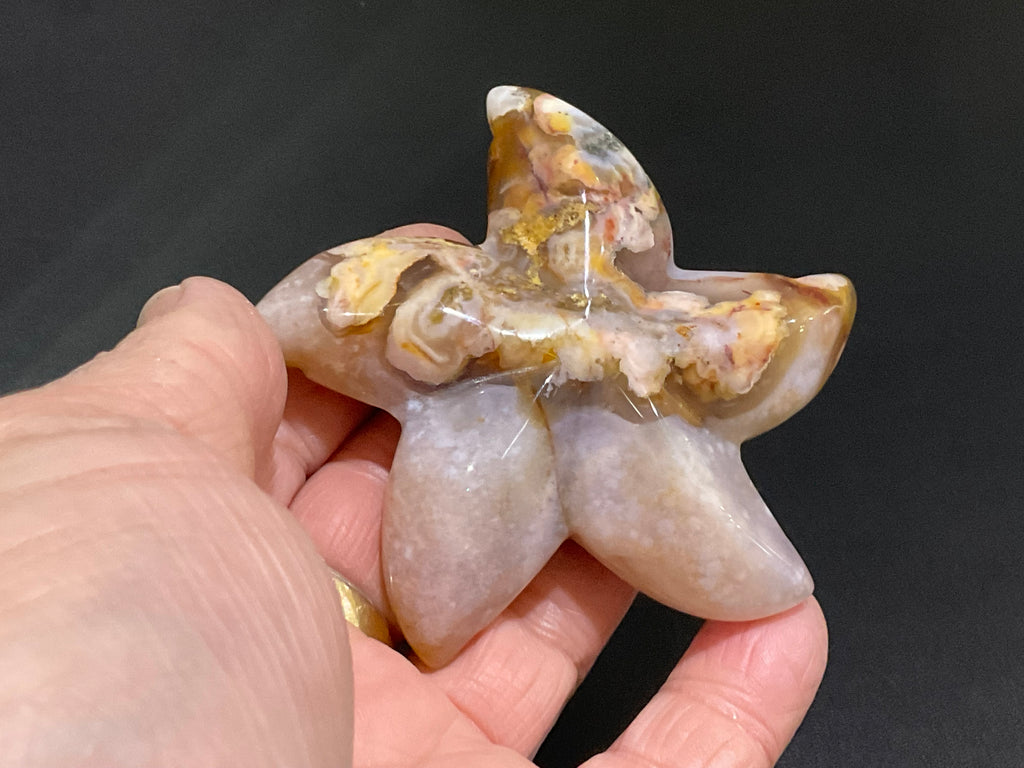 100g Flower Agate Starfish Palmstone 3C