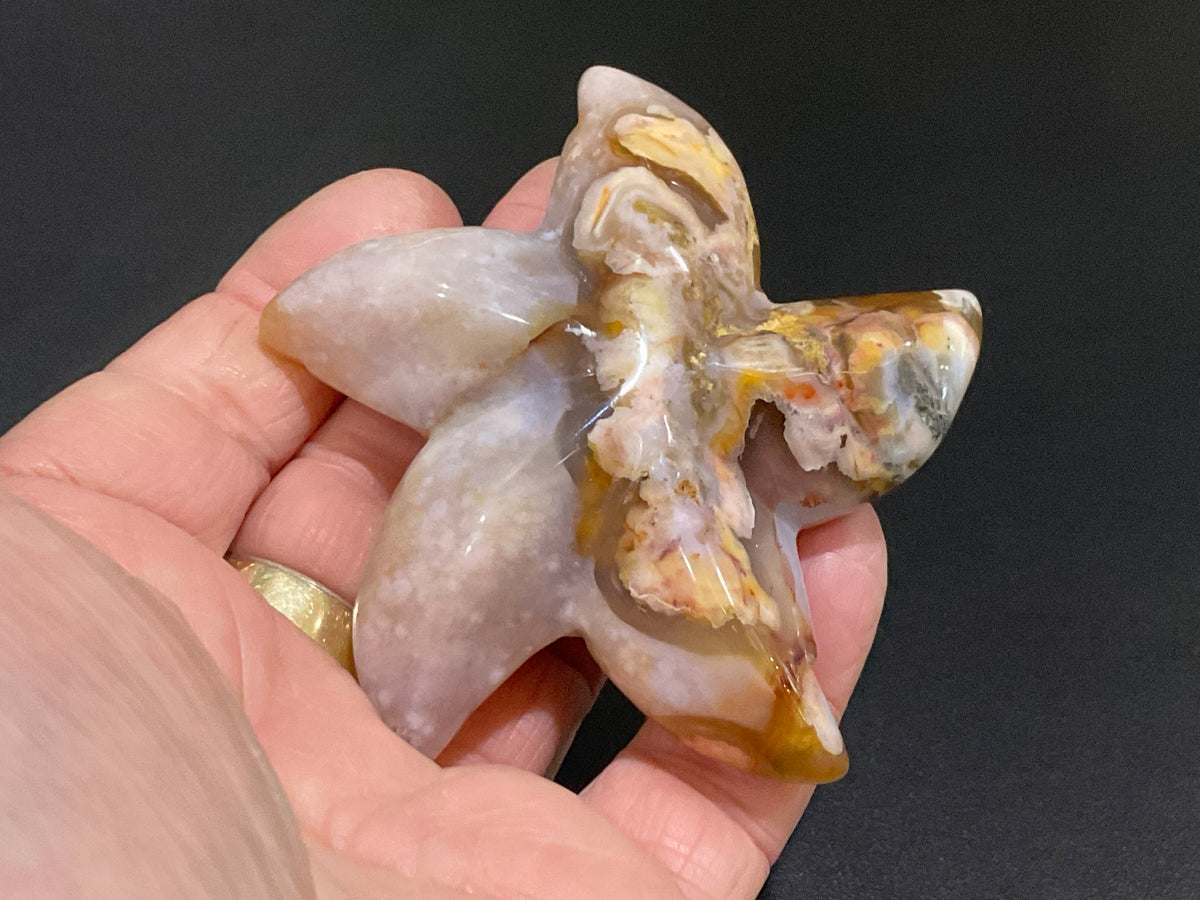 100g Flower Agate Starfish Palmstone 3C