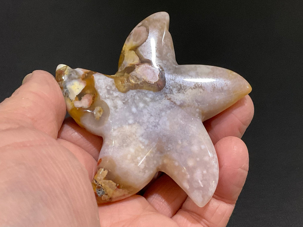 100g Flower Agate Starfish Palmstone 3C