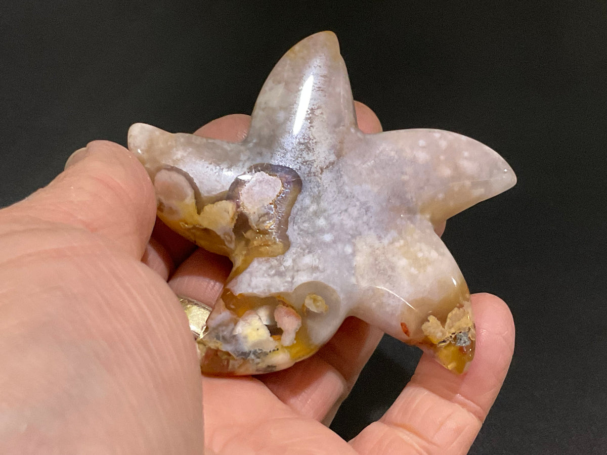 100g Flower Agate Starfish Palmstone 3C