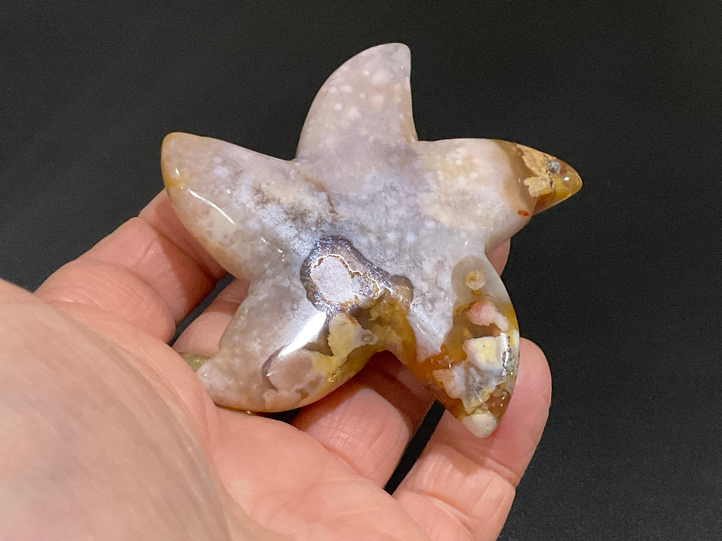 100g Flower Agate Starfish Palmstone 3C