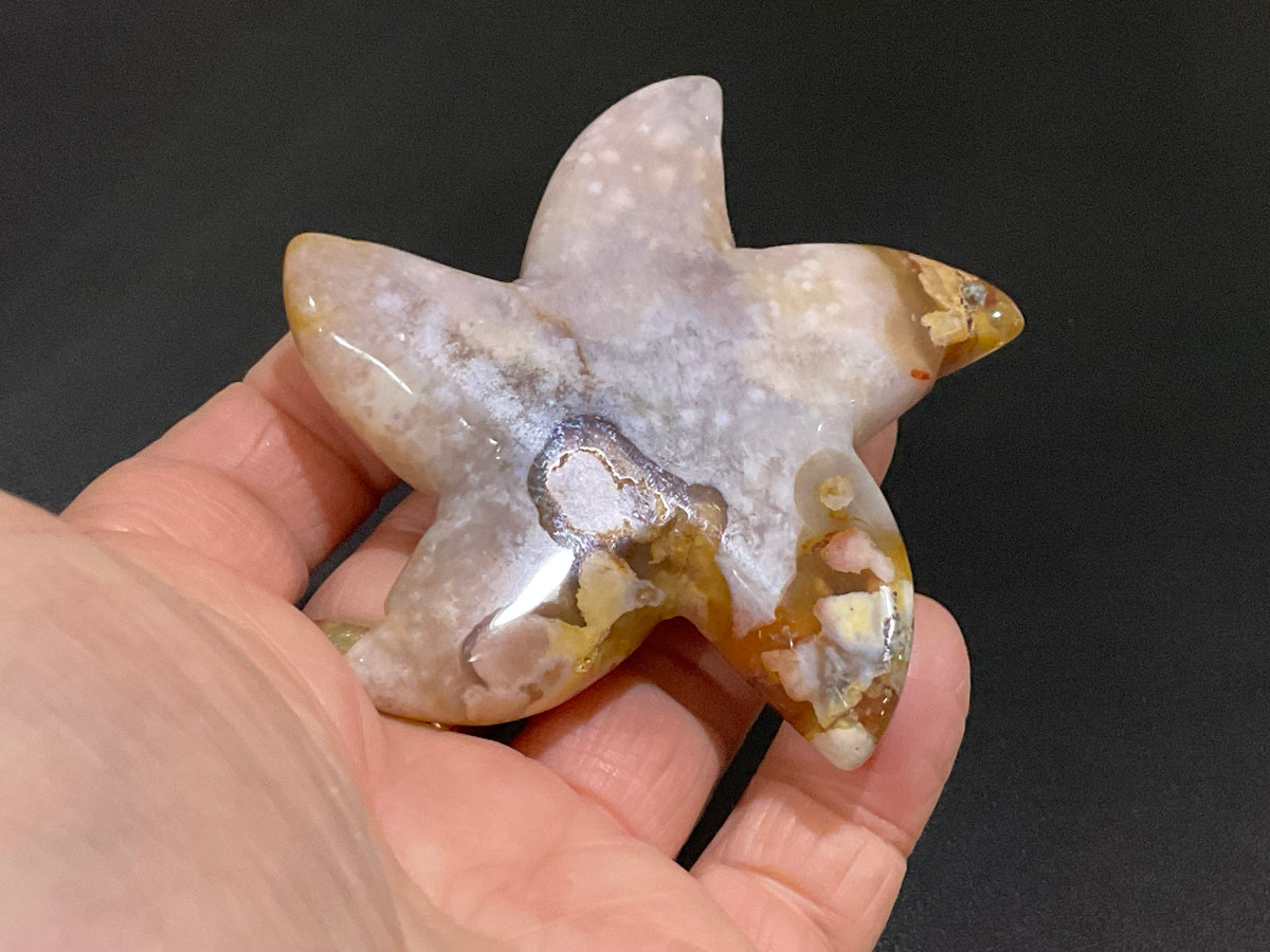 100g Flower Agate Starfish Palmstone 3C